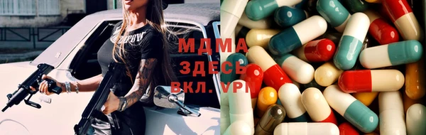 гидра Елабуга