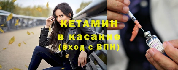гидра Елабуга