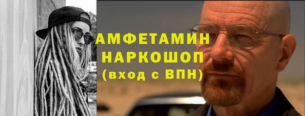гидра Елабуга