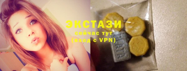 гидра Елабуга