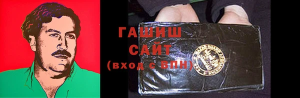 МДПВ Ельня