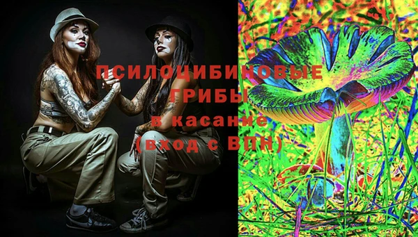 МДПВ Ельня