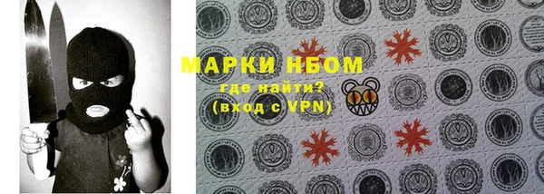 гидра Елабуга