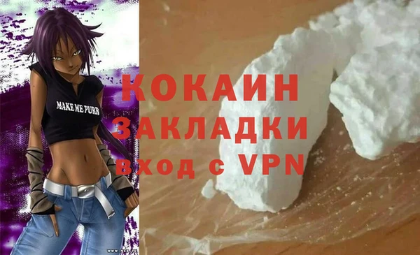 МДПВ Ельня