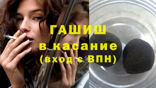 гидра Елабуга