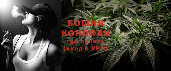 МДПВ Ельня