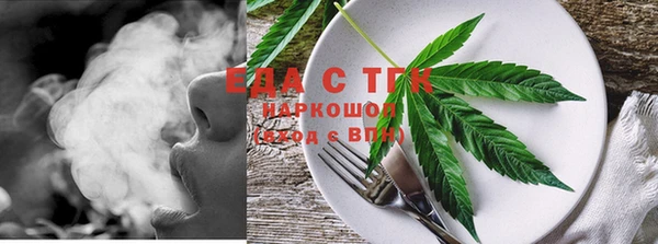 МДПВ Ельня