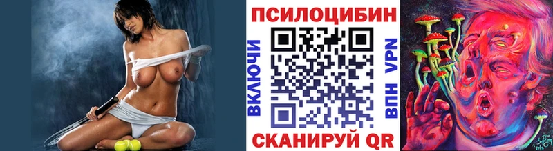 Купить где  Сокол  Псилоцибиновые грибы Psilocybine cubensis 