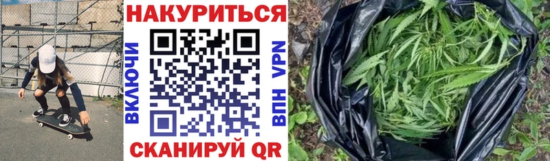 Марихуана Amnesia  Купить закладки  Сокол 